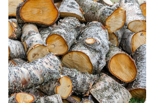 Дрова березовые пиленные в чурках