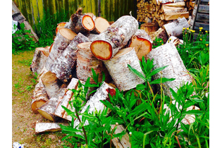 Дрова березовые пиленные в чурках