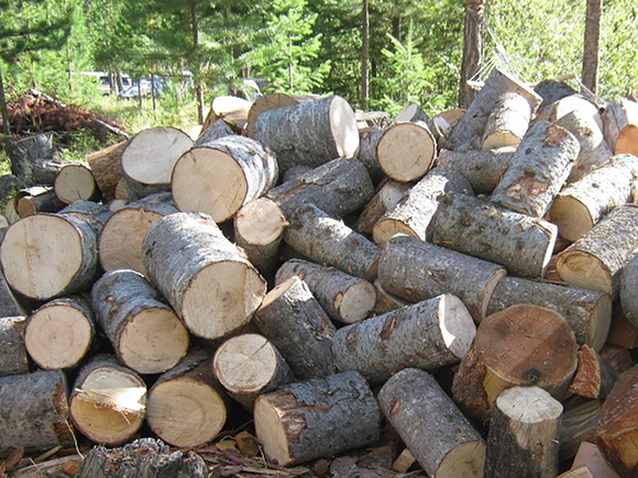 drova-pilennyie-osinovye-1