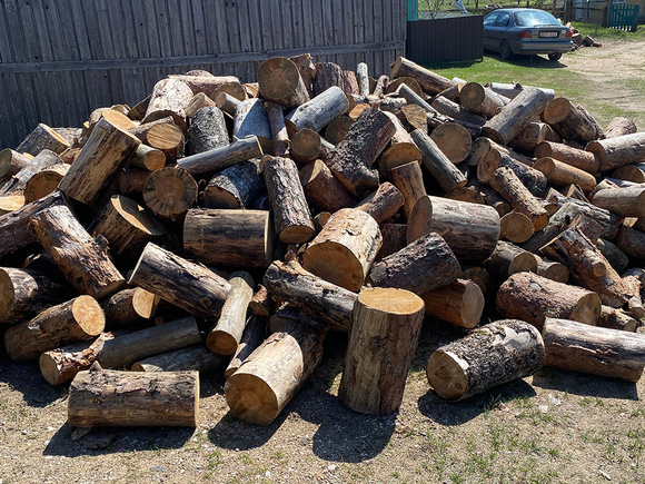 drova-xvojnyix-porod-dereva-pilennyie-1