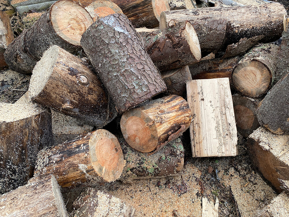 drova-xvojnyix-porod-dereva-pilennyie-4